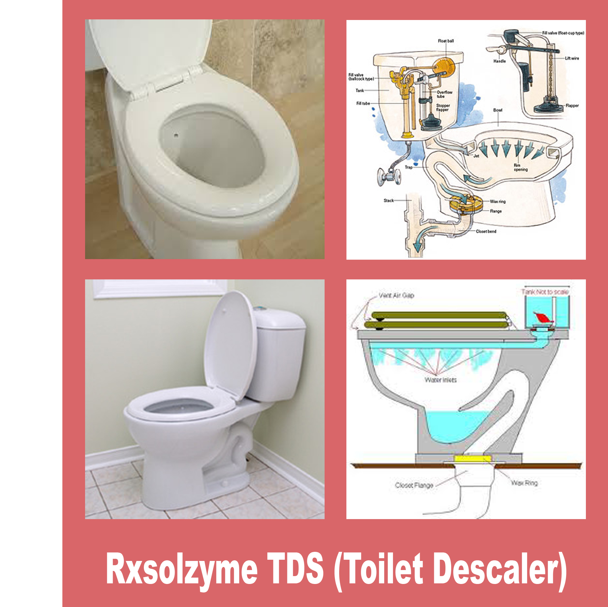 RXSOLZYME TDS Toilet Descaler